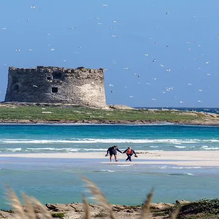 Close To The Beautiful Beaches In World Holiday home *