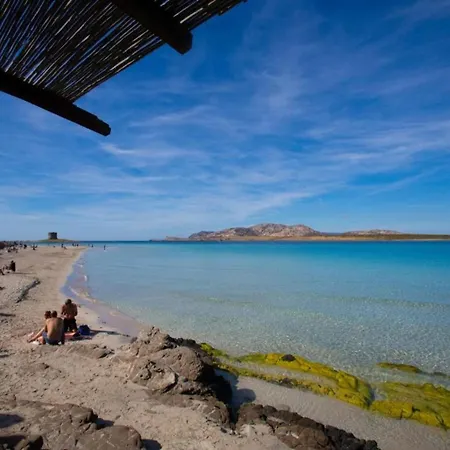 Close To The Beautiful Beaches In World Stintino