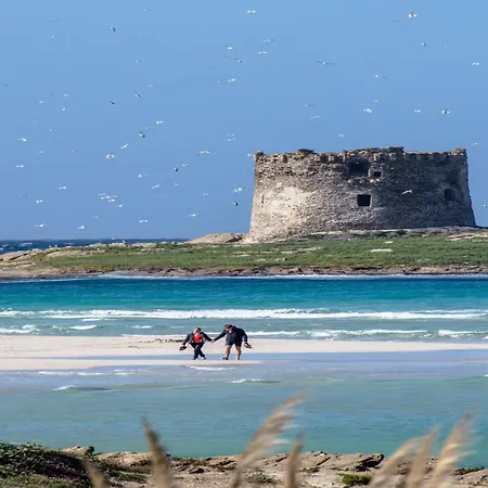 Close To The Beautiful Beaches In World