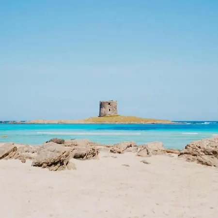 Close To The Beautiful Beaches In World *